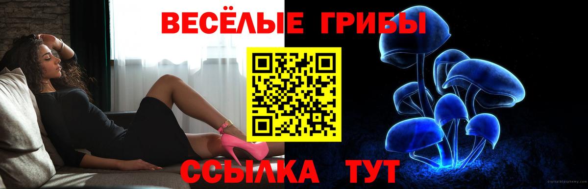 Галлюциногенные грибы Psilocybe  Вход с VPN  Псилоцибиновые грибы мицелий  Дагестанские Огни 